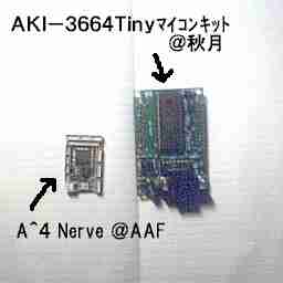 A^4 Nerve�� AKI-H8 Tiny